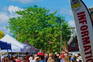 Busy outdoor fair with people milling around white vendor tents, under a bright blue sky. A tall banner reading "INFORMATION" is visible on the right.